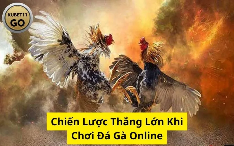 Chiến Lược Thắng Lớn Khi Chơi Đá Gà Online