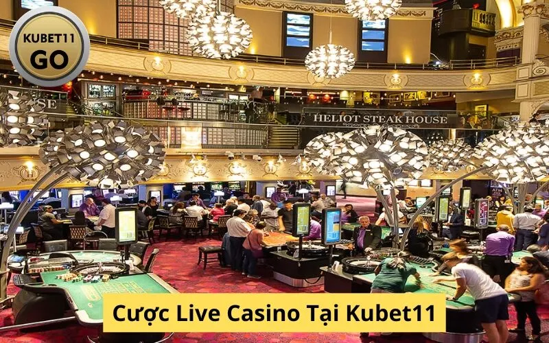 Cược Live Casino Tại Kubet11
