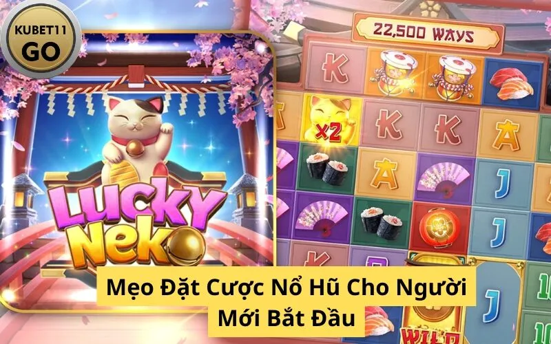 Mẹo Đặt Cược Nổ Hũ Cho Người Mới Bắt Đầu