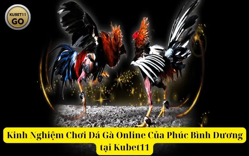 Kinh Nghiệm Chơi Đá Gà Online Của Phúc Bình Dương tại Kubet11